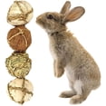 thumbnail image 4 of Rabbit Grass Ball Natural 2PCS Bunny Grinding Ball Rabbit Ball Toy for Bunny, 4 of 10