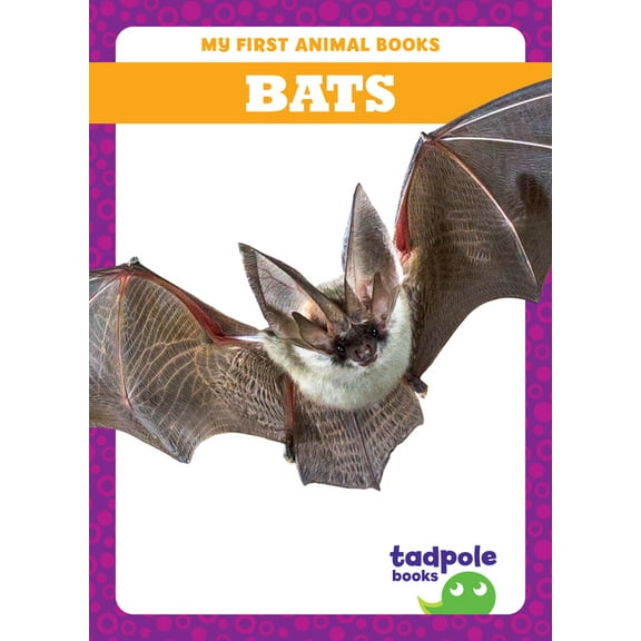 My First Animal Books Bats, (Hardcover)