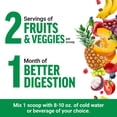 thumbnail image 6 of Force Factor Smarter Greens Superfoods Energy Powder, Greens Powder with Caffeine and Probiotics for Energy & Digestion, Lemon Lime, 30 Servings, 6 of 11