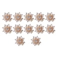thumbnail image 3 of 10 Piezas 15 Mm Chapado en Oro Metal Diamante Flor Botones Adornos Botones de Cristal Parte Posterior Plana Accesorios de Bricolaje Sujetadores de Cos Macarena Adornos de cristal, 3 of 8