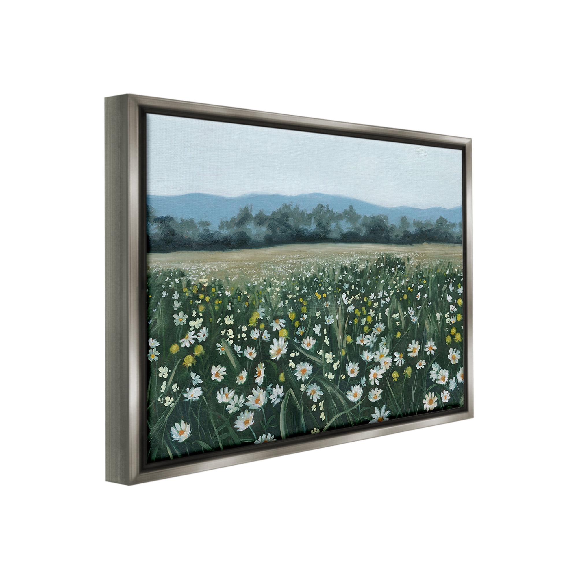 Stupell Industries Traditional Daisy Meadow Landscape Painting Gray Floater Framed Canvas Art Print Wall Art, 31 x 25