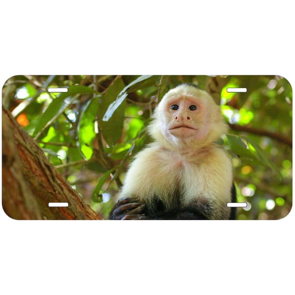 Monkey TAG06 Novelty Car Auto License Plate