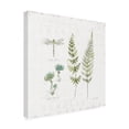 thumbnail image 2 of Trademark Fine Art 'In the Forest Study' Canvas Art by Katie Pertiet, 2 of 3