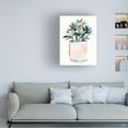 thumbnail image 3 of Jennifer Paxton Parker 'Potted Succulent IV' Canvas Art, 3 of 3
