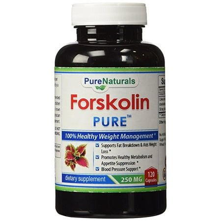 pure naturals forskolin extract (standerdized to 20%) 250 mg 120