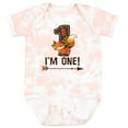 thumbnail image 3 of Inktastic 1st Birthday Fox 1 Year Old Boys or Girls Baby Bodysuit, 3 of 5