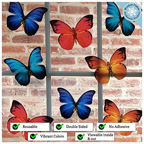 Butterfly OVAL Window Decal 4x6inch Static Cling Decor for Glass Doors Mirrors R 