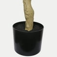 thumbnail image 5 of 6FT Realistic Artificial Bougainvillea Tree - Potted Flowering Fake Plant 1pc Set for Indoor Home Decor, 5 of 9