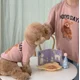 thumbnail image 5 of Chaqueta de invierno para mascotas, abrigos cálidos para gatos, ropa para perros, abrigo para cachorros, ropa para perros pequeños y medianos, ropa para gatos, bulldog francés y maltés, 5 of 5