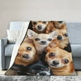 thumbnail image 2 of Ultra-Soft Chihuahua Print Flannel Throw Blanket - All-Season Cozy Knit for Couch, Bed, Office - Machine Washable, Perfect Gift for Dog Lovers, 2 of 6