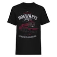 thumbnail image 1 of Harry Potter  Adult All Aboard T-Shirt, 1 of 4