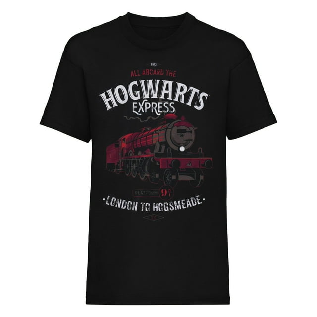 Harry Potter Adult All Aboard T-Shirt