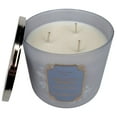 thumbnail image 3 of Bath and Body Works Eucalyptus Snowfall Scented 3-Wick Candle (14.5 OZ / 411 G), 3 of 6