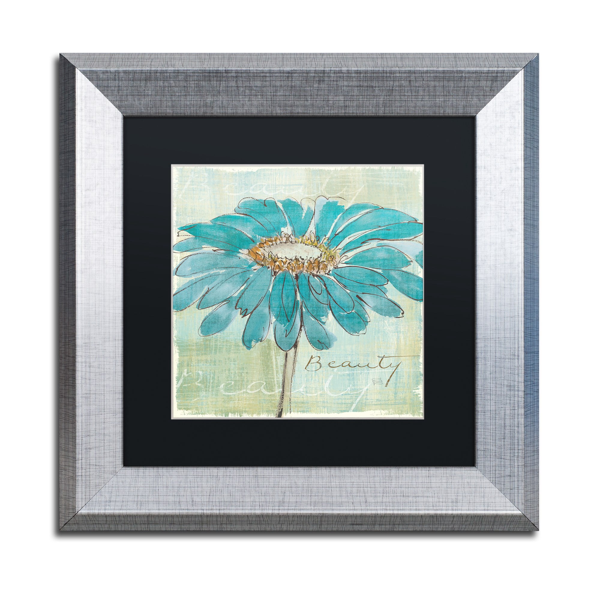 Trademark Fine Art "Spa Daisies I" Canvas Art by Chris Paschke Black Matte, Silver Frame