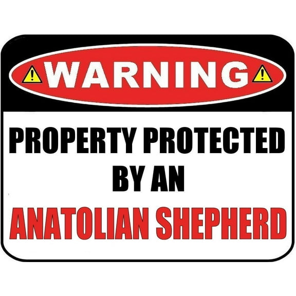 Warning Property Protected by an Anatolian Shepherd 9 inch x 11.5 inch Laminated Dog Sign