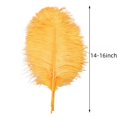 thumbnail image 4 of Plumas de Avestruz Doradas Ballinger 12 piezas 35-40 cm Grandes, 4 of 9