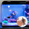 thumbnail image 4 of Adorable WhaleShaped Aquarium Decor Made of PVC for Fish Tank Landscape Adding Natural Vibes Assorted Color, 4 of 8