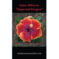 thumbnail image 4 of Hibiscus Cajun Color Live Plant  Tropical Flowering Shrub  Imperial Dragon 4 Inch Pot Hibiscus Hybrid for Garden or Patio  Exotic Imperial Dragon Flowers, Perennial Hibiscus 4 Inch Pot, 4 of 7