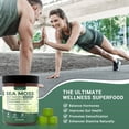 thumbnail image 5 of Sea Moss Gummies - 16-in-1 Formula - with Black Seed Oil, Ashwagandha, Bladder Wrack, Apple Cider Vinegar - for Men & Women - 60 Gummies, 5 of 6