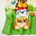 Set Of 4 Nickelodeon Paw Patrol Skye & Everest Magic Towels Rare HTF