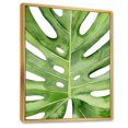 thumbnail image 2 of Designart Détail botanique de palmier tropical vert feuille de Monstera ART MURAL À CADRE FLOTTÉ, 2 of 4