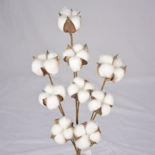 Natural White Cotton Boll Stems Flowers Branches Vase Display Floral  Decorations