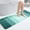 Blackish Green, variant on Bathroom Rugs Mat 24x16, Extra Soft Absorbent Microfiber Bath Rugs, Rubber Backing, Quick Dry, Machine Washable Bath Mats for Bathroom Floor, Tub and Shower, Home Decor Accessories, Green