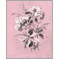 thumbnail image 2 of Dussurgey, Chabal 20x24 Gold Ornate Wood Framed with Double Matting Museum Art Print Titled - Dussurgey Hydrangea on Pink, 2 of 4