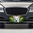thumbnail image 3 of West Highland White Terrier Westie Dog Puppy Photo Metal Novelty License Plate, 3 of 7