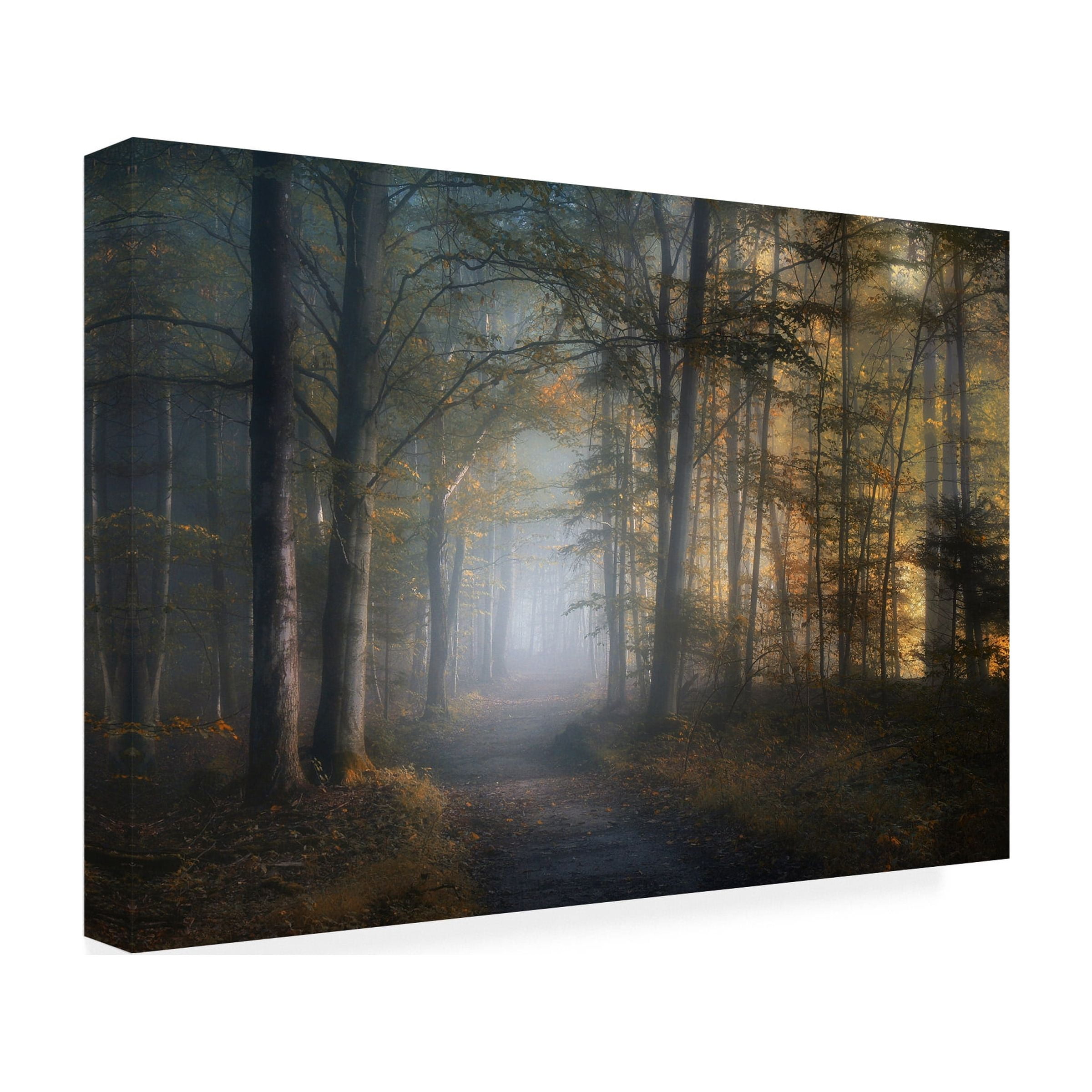 Norbert Maier 'Autumn Symphony' Canvas Art