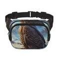 thumbnail image 1 of Gaeub Sac Banane Imprimé Aigle Chauve Ciel Nocturne avec Bandoulière Réglable, Sac de Taille Double Couche Carré, pour Exercice Course Voyage Randonnée, 1 of 9