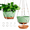 Green, variant on Diigabo 2-Pack 8-inch Self-Watering Hanging Planters with Macrame Hanger Indoor Plastic Plant Pots with Drainage Hole&Saucers Flower Baskets for Outdoor Garden Home Ceiling Decor(White)