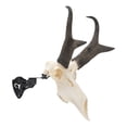 thumbnail image 3 of Allen Company Ez Mount Adjustable Steel Skull Stand, Black, 8" x 1.4" x 4.2", 1 lb, 3 of 10