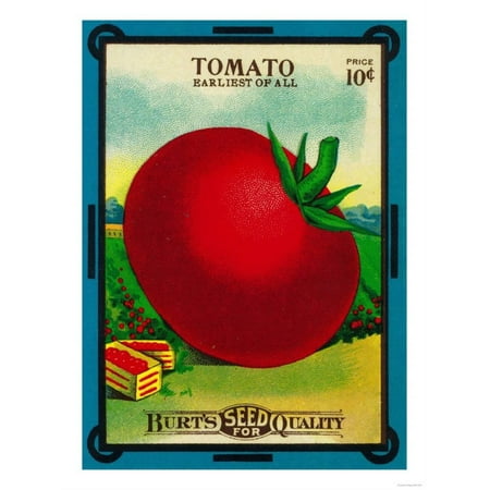 Tomato Press - Tomato Seed Packet Print Wall Art By Lantern Press
