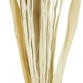 thumbnail image 5 of 49" Tall Dried Plant Natural Foliage Bouquet with Pink Petals, by DecMode, 5 of 9
