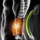 thumbnail image 5 of Tabla masajeadora de espalda con nivel ajustable, tabla de estiramiento lumbar, plataforma para columna vertebral, 4 niveles, verde y negro, 5 of 14