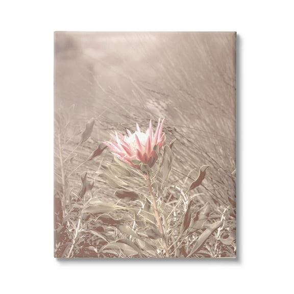 Stupell Industries Lone Pink Flower Grassland Photograph Gallery Wrapped Canvas Print Wall Art, Design by Lil' Rue