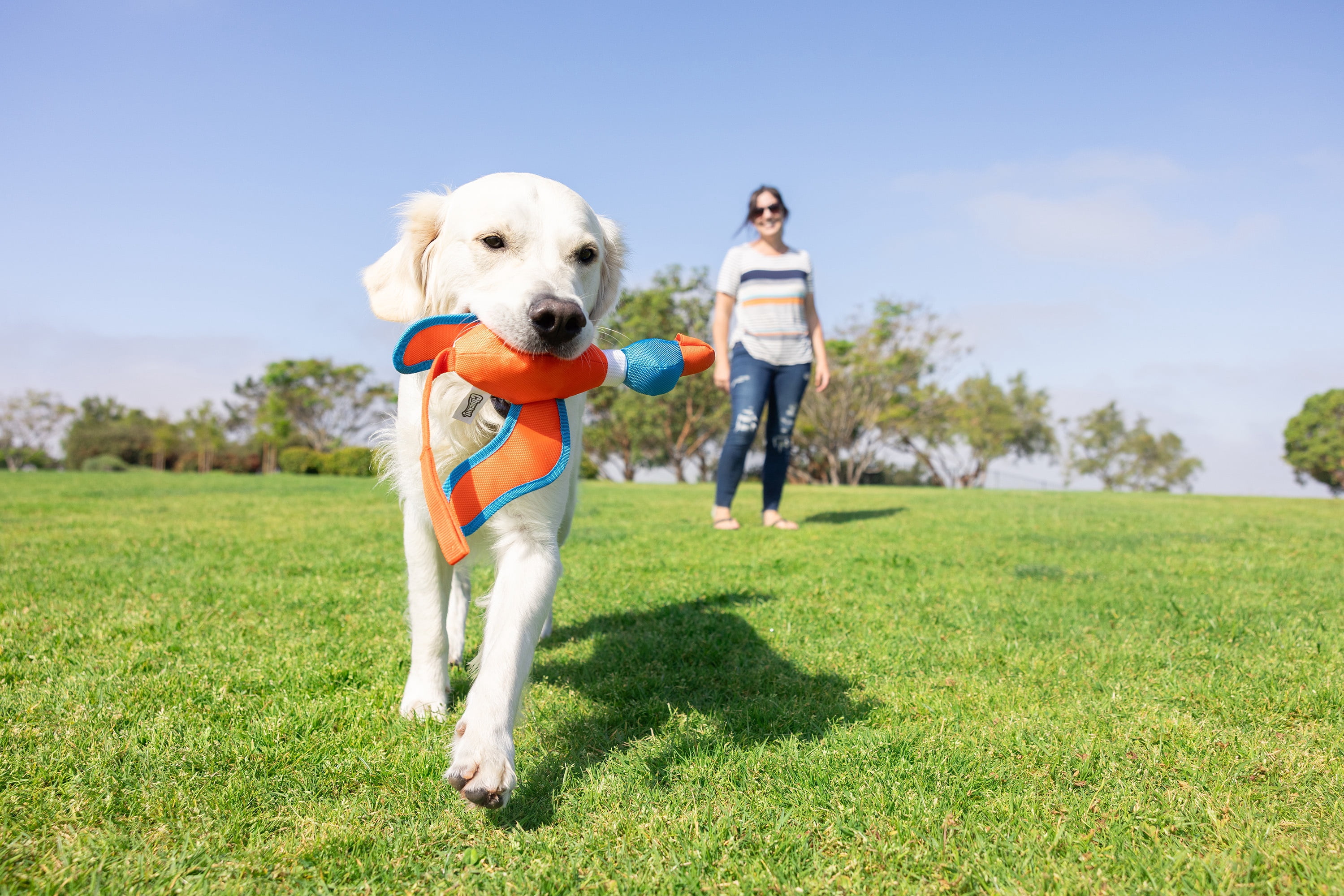 Chuckit! Flying Duck Slingshot Fetch Toy, Orange & Blue – Crinkle Fabric Duck for Dogs Up to 100 lb, Pack of 1