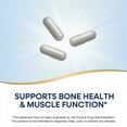 thumbnail image 5 of Nature's Way Calcium Magnesium & Vitamin D Complex Capsules, Healthy Bones & Teeth*,  Unisex, 250ct, 5 of 9