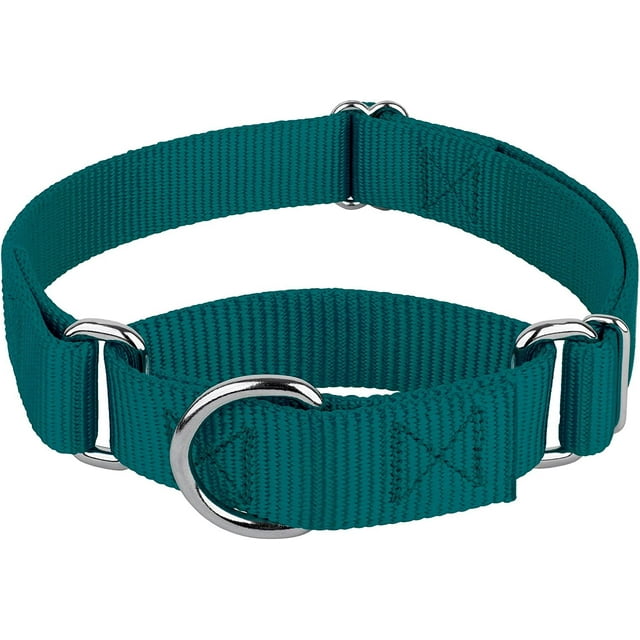 Country Brook Petz - Martingale Dog Collar - Heavy-Duty Training Collar with No Buckle - Service Dog Collar for All Pups - 10+ Cool Colors (Teal, 1 Inch, Medium)