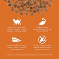 thumbnail image 5 of GO! SOLUTIONS SKIN + COAT CARE Grain Free Salmon Recipe for cats, 5 of 5