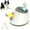 Gray, variant on Desiso Automatic Ball Launcher for Dogs, Interactive Dog Ball Thrower with 3 Balls 2 Inches, 3 Adjustable Distance Settings, Thrower Distance 10-30ft, Easy to Clean for Small and Medium Dogs(Blue)