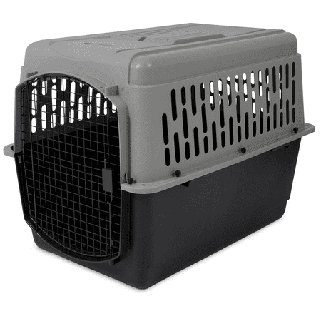 Aspen Pet Porter 40" Traditional Travel Dog Kennel Portable Large Plastic Carrier for Pets 70-90 lb, Gray