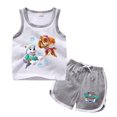 thumbnail image 5 of PAW Patrol-Camiseta de algodón para niños, 100%, conjuntos de pantalones cortos, Tops de dibujos animados y pantalones cortos, traje deportivo para niños y niñas, conjunto de ropa para niños, 5 of 5