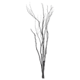 thumbnail image 1 of Bouclair Branches Noires, 1 of 2