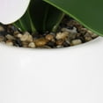 thumbnail image 4 of Parrigan Faux Pink Orchid in White Pot, 4 of 6