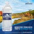 thumbnail image 2 of Ice Mountain Spring Water, 20 Fl Oz, Single Plastic Bottle, 2 of 11