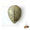 thumbnail image 1 of Dark GREEN Paper 4 Piezas Señuelos De Nido De Avispas A Prueba De Agua Disuasivo De Avispones Colgantes Nido De Avispas De Tela Falsa Señuelo De Abejas No Tóxico Disuasivo para El Hogar Y, 1 of 5