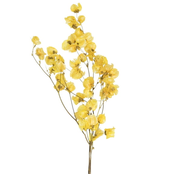 Vickerman 13.5-17" Yellow Dried Cara Blossom Bundle, Preserved.