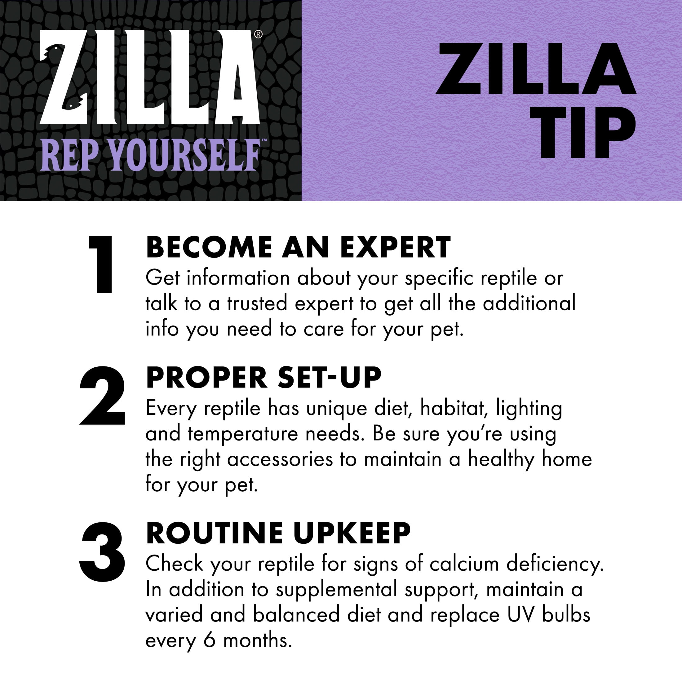 (3 pack) Zilla Calcium Supplement Spray 8 Fluid Ounce